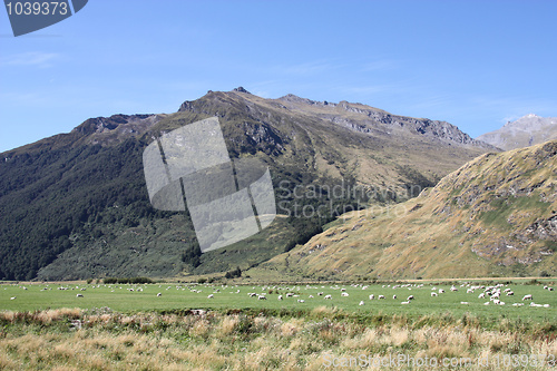 Image of New Zealand