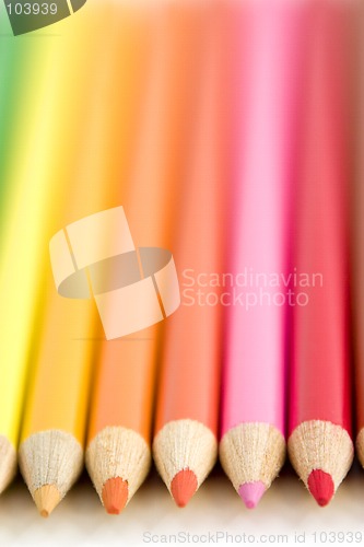 Image of Coloring Pencils