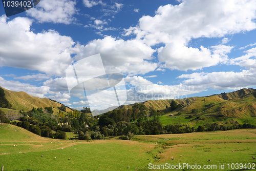 Image of New Zealand