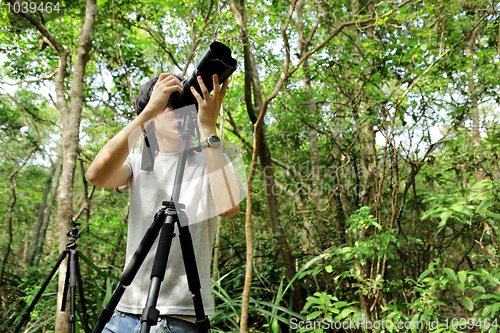 Image of Photographer in forest