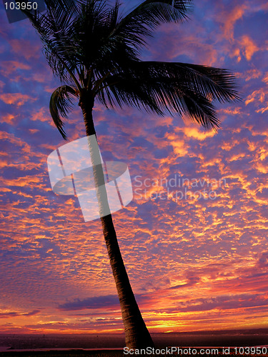 Image of Beach at sunset