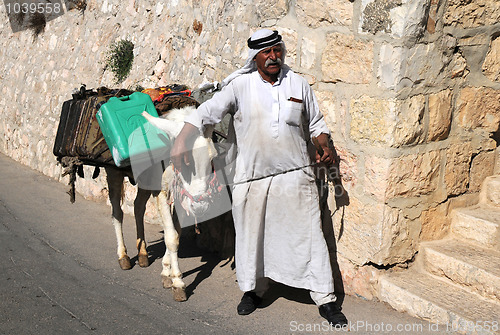 Image of In Jerusalem