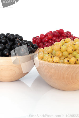 Image of Red, Black and White Currants