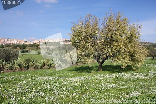 Image of Italy