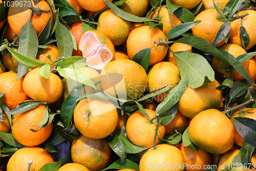 Image of Tangerines