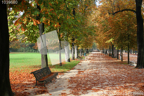 Image of Autumn park