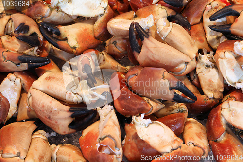 Image of Seafood