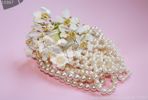 Image of Pearls and orange blossom for a bride