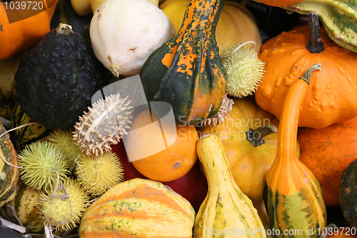 Image of Food market