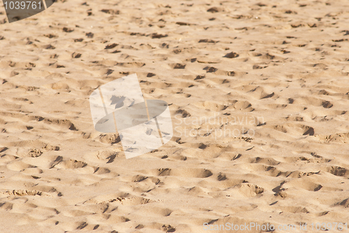 Image of Footprints