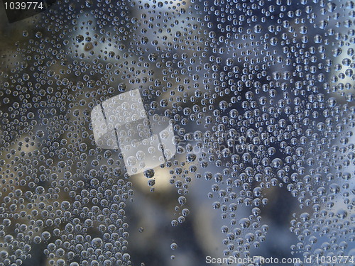 Image of droplets