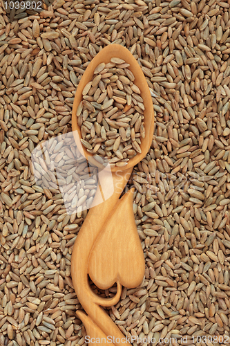 Image of Rye Wheat Grain
