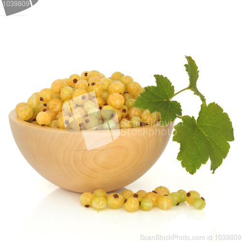 Image of White Currant Fruit