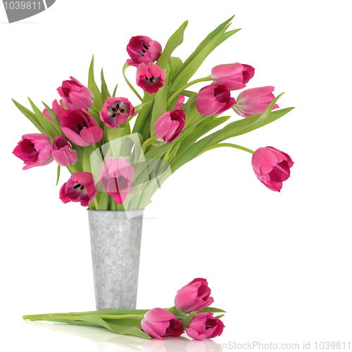 Image of Pink Tulips