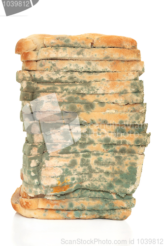 Image of Moldy Bread Loaf