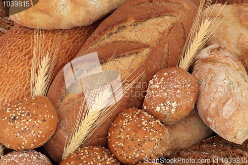 Image of Rustic Bread and Rolls