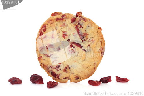 Image of Cranberry Cookie