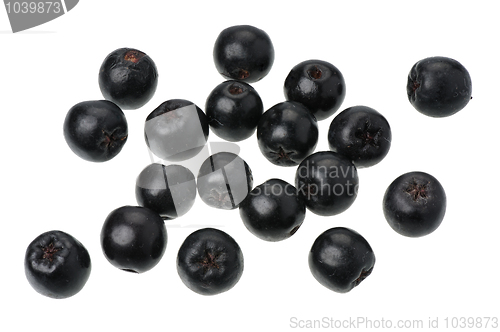 Image of Chokeberry