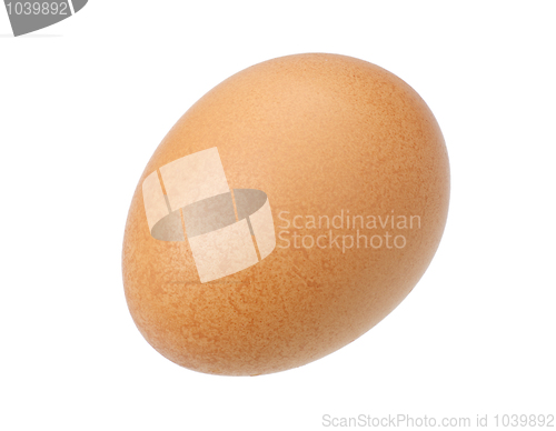 Image of Egg, isolated