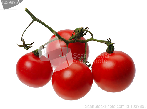 Image of Red tomatto, isolated