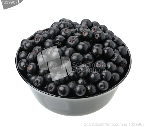 Image of Chokeberry