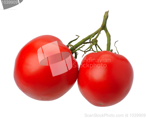 Image of Red tomatto, isolated