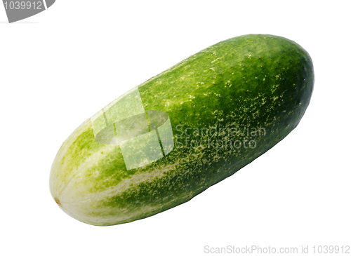 Image of Cucumber, isolated