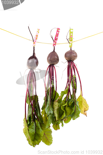 Image of Hanging beet