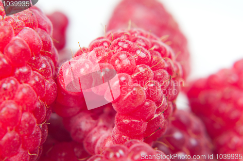 Image of Raspberry