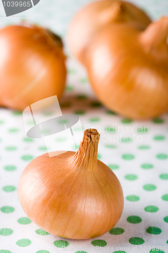 Image of ripe onions