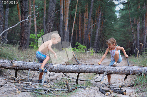 Image of kids playing in the woods