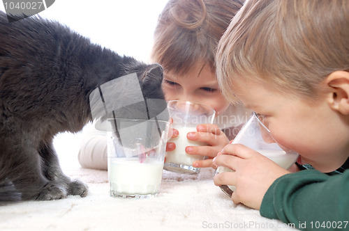 Image of Kids and cat drinking milk together