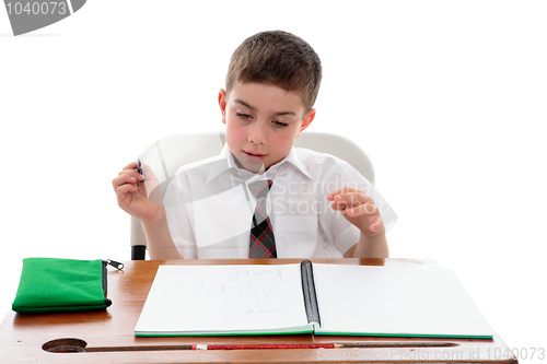 Image of School student examining his work