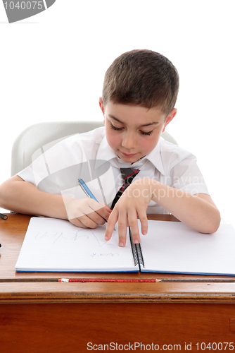 Image of Studious boy doing school work