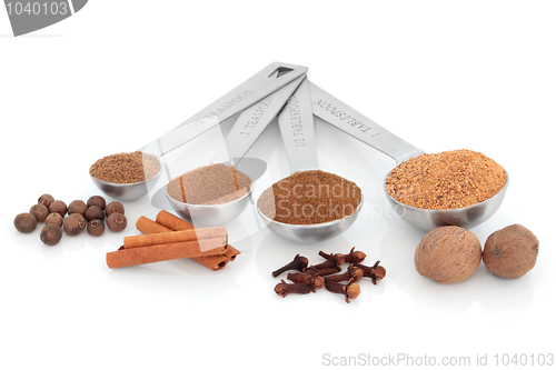 Image of Spice Measurement