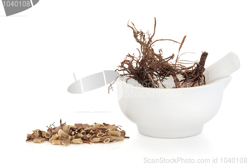 Image of Valerian Herb Root