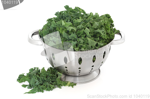 Image of Kale Cabbage