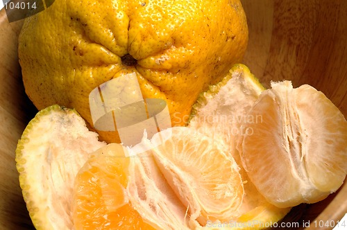 Image of citrus