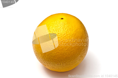 Image of Orange
