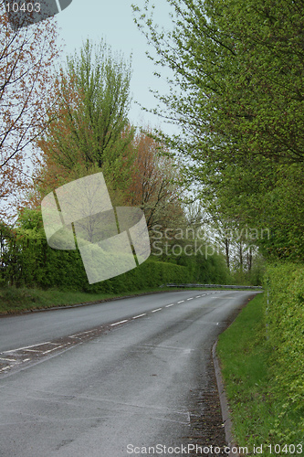 Image of A country lane in the spring