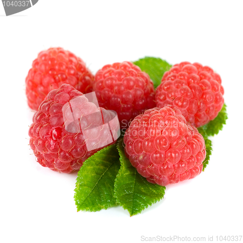 Image of fresh raspberry