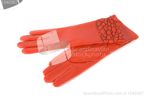 Image of female leather gloves