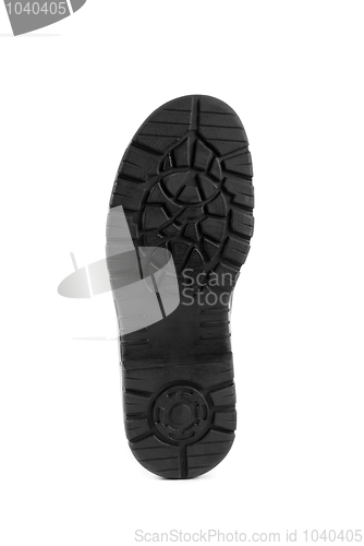 Image of sole