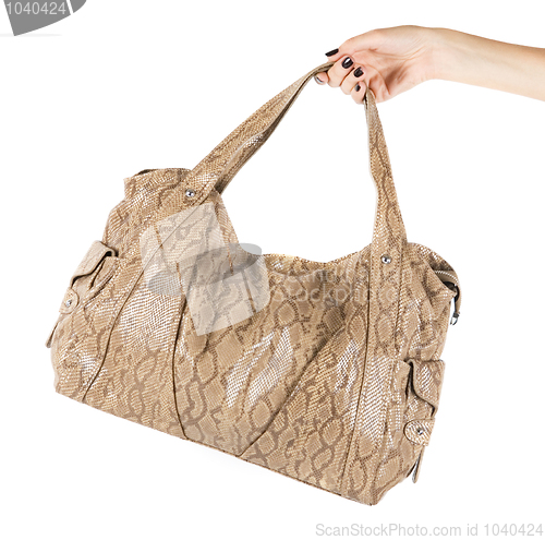 Image of women bag at hand
