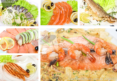 Image of Fish set