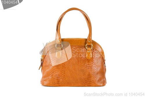 Image of brown women bag