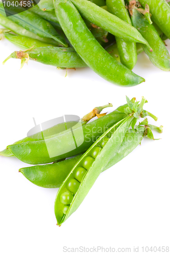 Image of Ripe pea