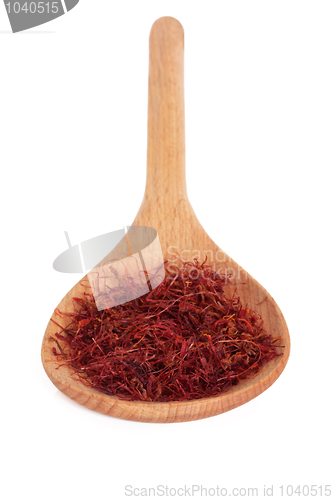 Image of Saffron Spice