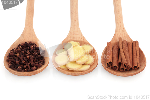 Image of Clove, Ginger and Cinnamon Spice