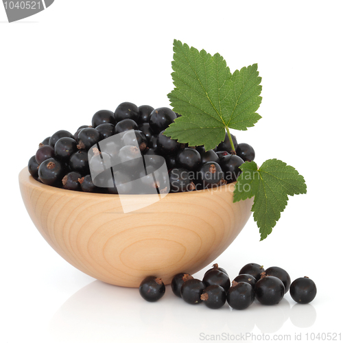 Image of Blackcurrant Fruit